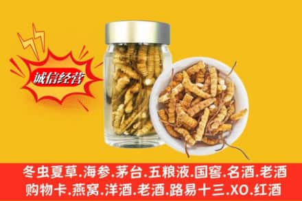 五华县回收散虫草